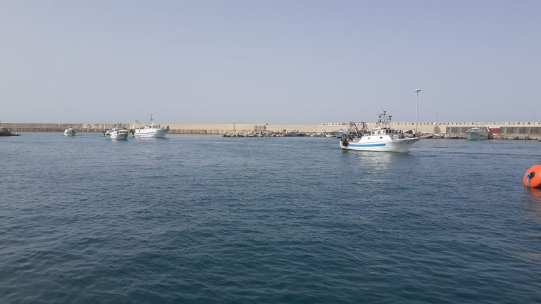 porto licata
