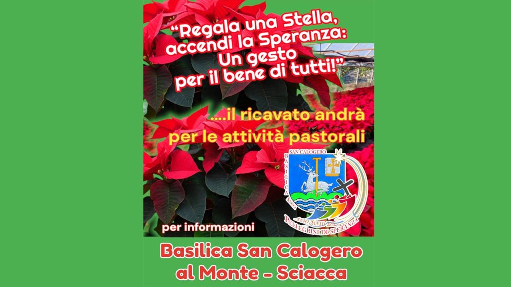 stelle natale san calogero 2024