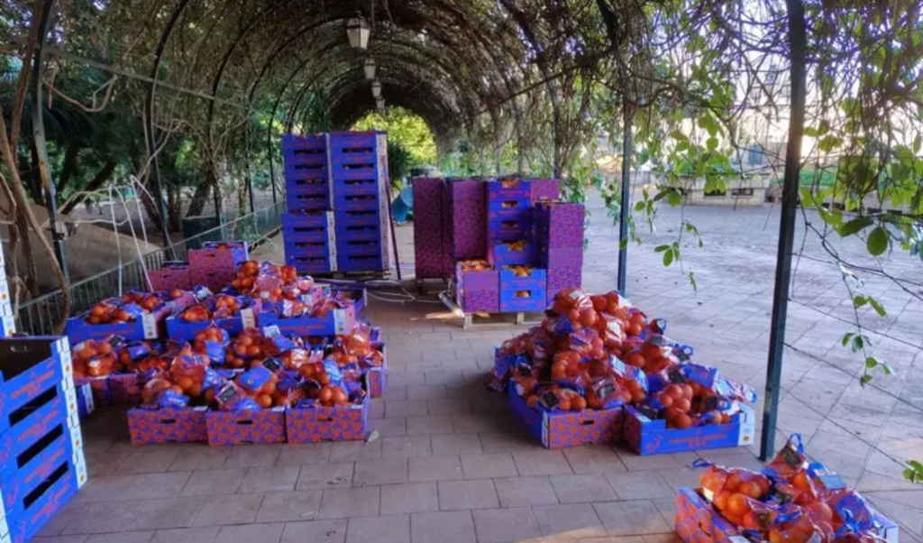 Screenshot 2024-12-19 085702