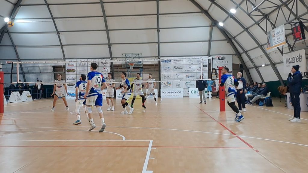 scalia volley papiro