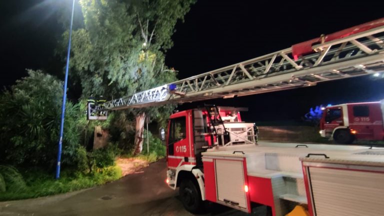 vigili del fuoco san marco 2024