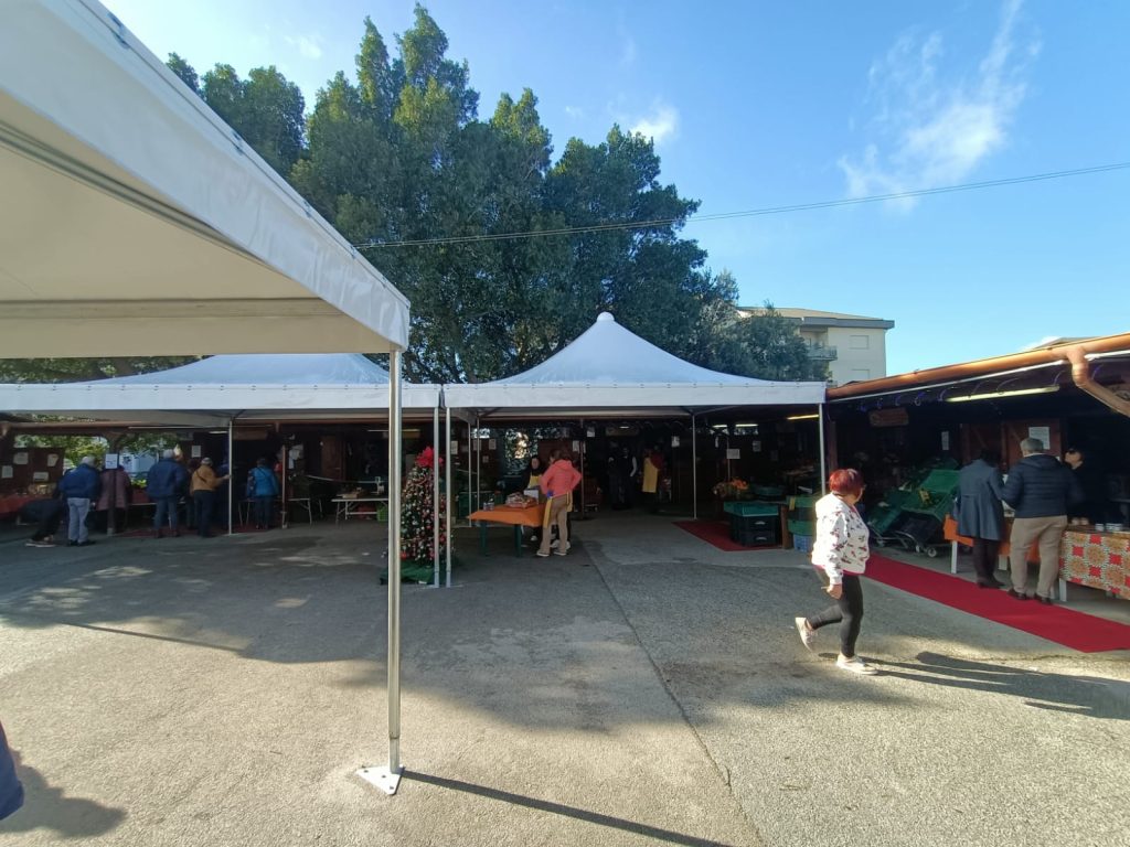 democrazia partecipata 24 - progetto mercato contadino 2