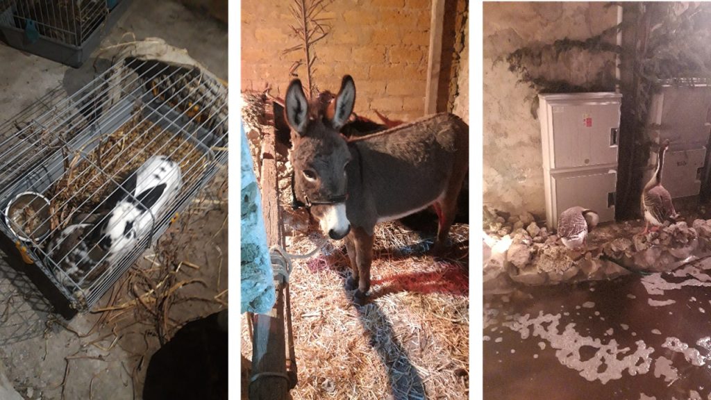 presepe vivente montaperto 2024