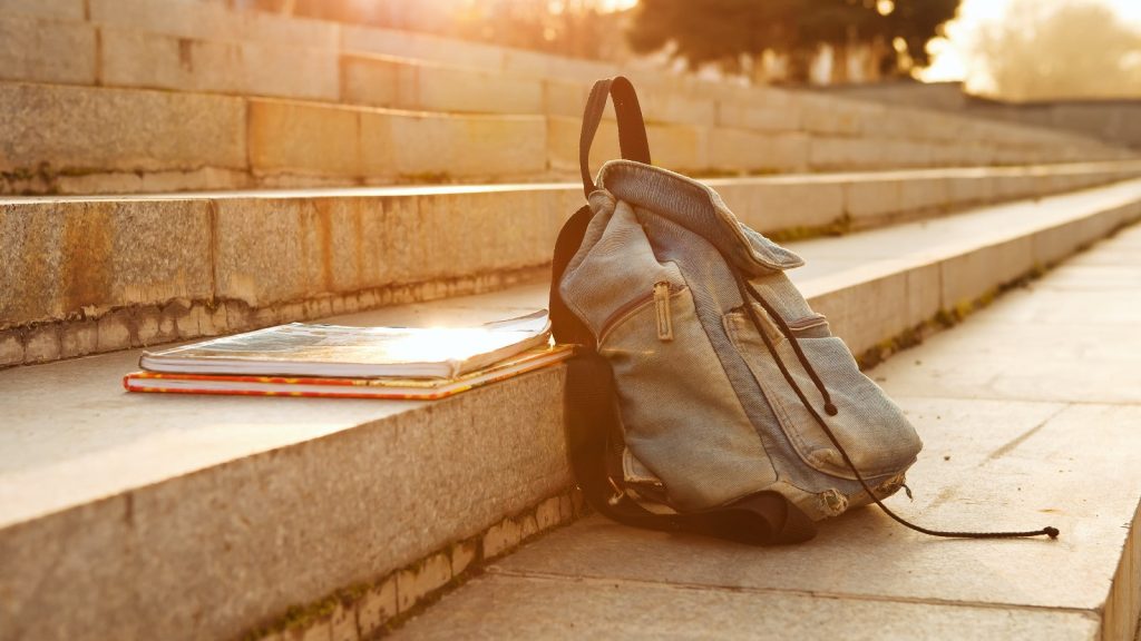 Dispersione-scolastica zaino scale