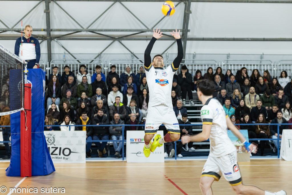 scalia volley 12-2024