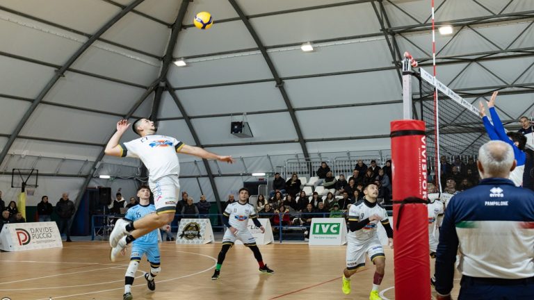 scalia volley 2025