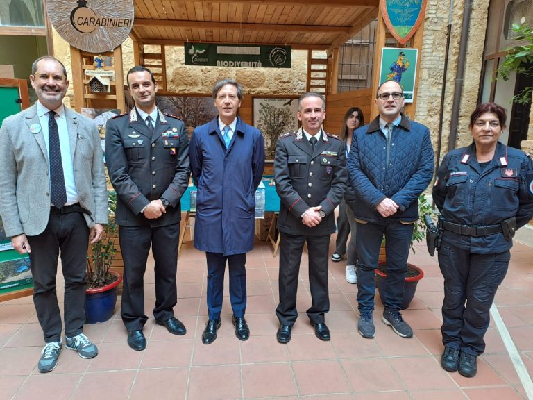 GIORNATE FAI 2025