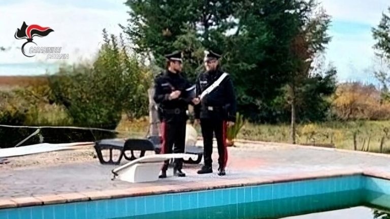 Pedara piscina 2