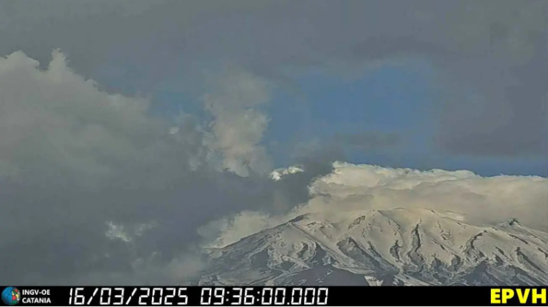 Screenshot 2025-03-16 125526