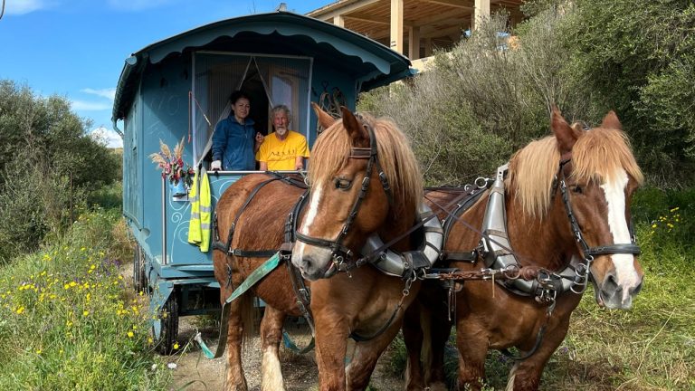 carrozza francesi 2025 home