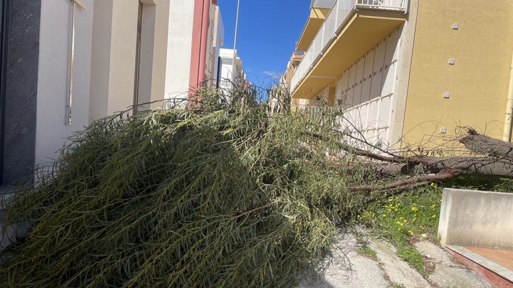 cimitero albero abbattuto dal vento 2025