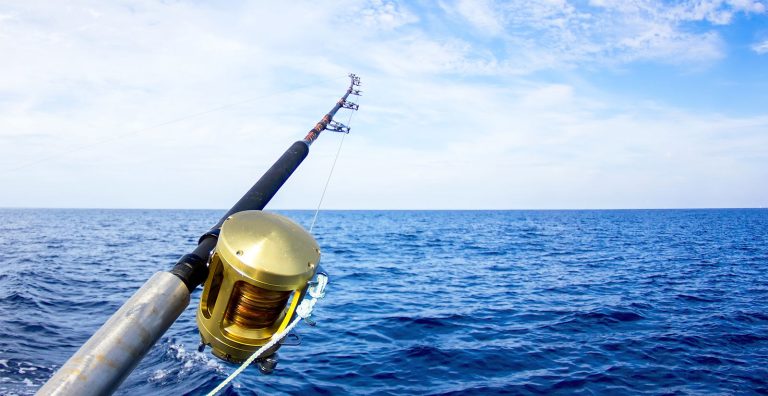 pesca turismo