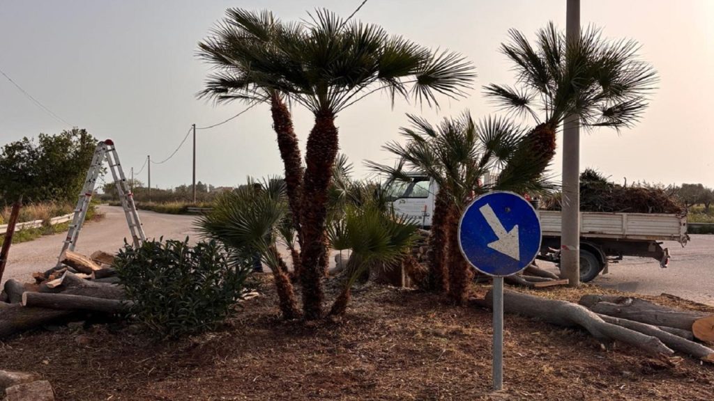 sistemazione-rotatoria-sovareto-3