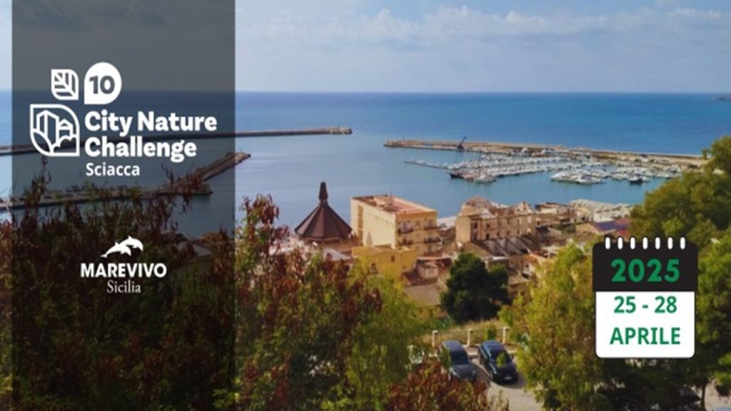 CNC Sciacca marevivo 2025