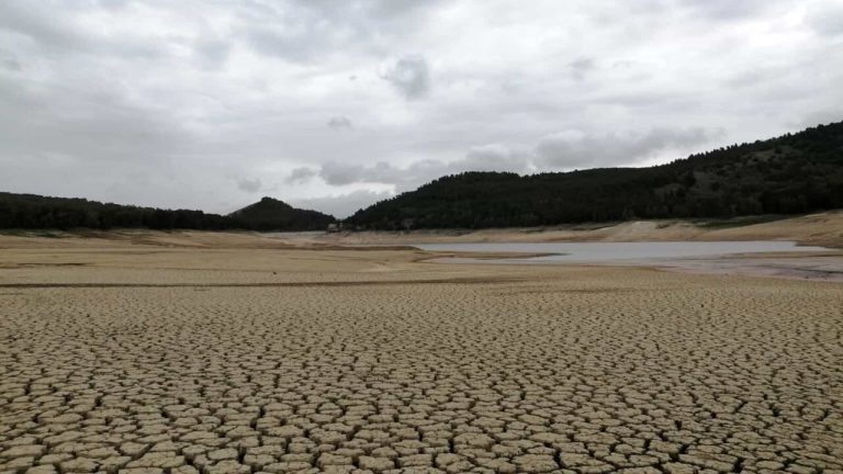 lago fanaco