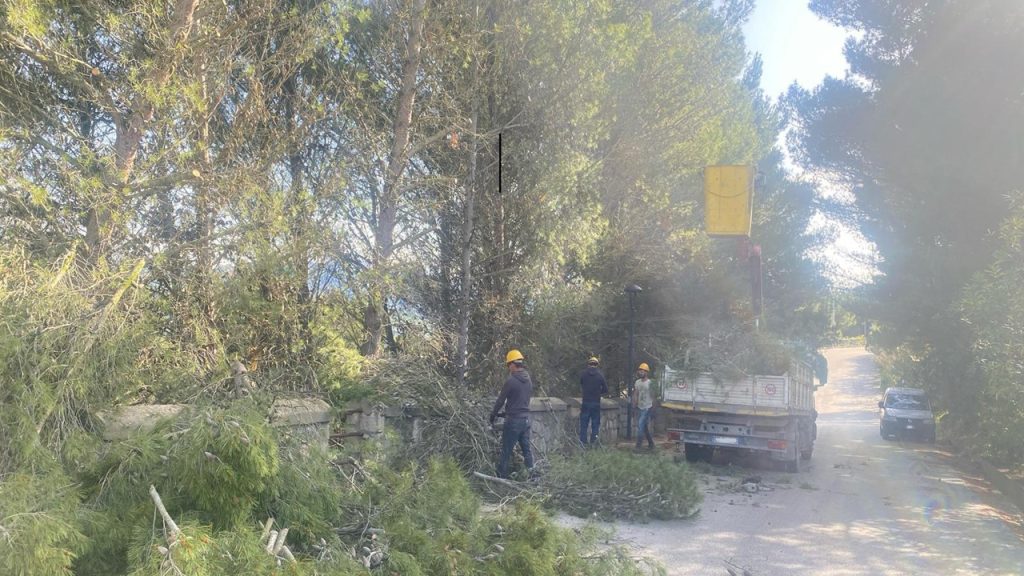 verde basilica san calogero pulizia 2025