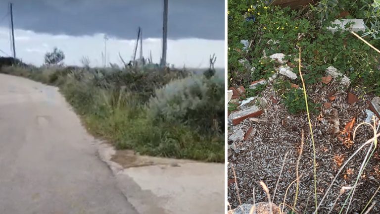 via lanterna scarti pesce 2025