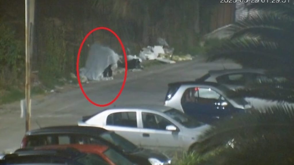 Rifiuti Monreale fantasma