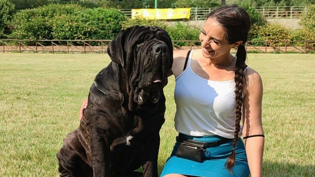 esposizione canina Pa 2025 2 CANE VINCITORE