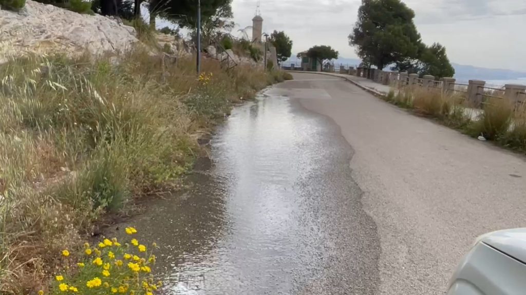 perdita san calogero 2025