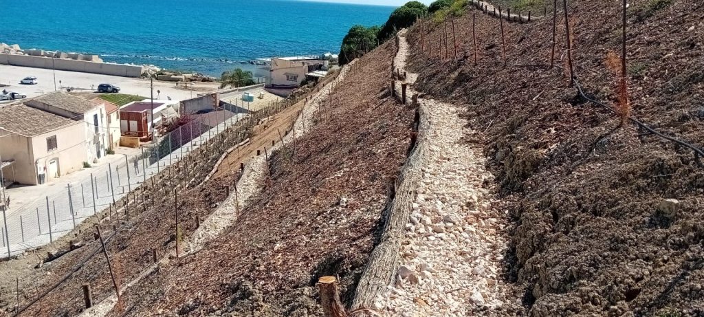 porto palo piante erosione 2025