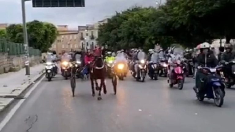 Corsa-Clandestina-di-cavalli-2