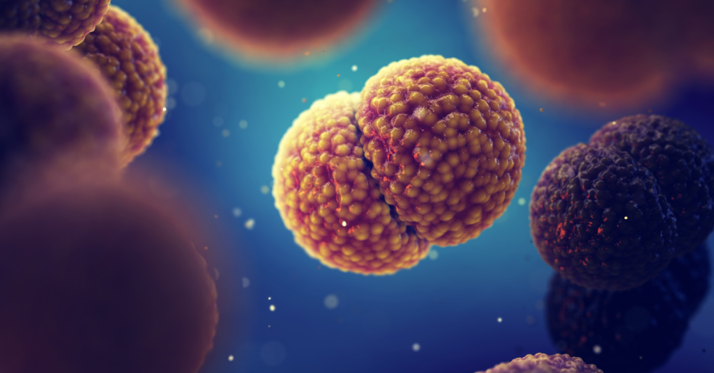 Meningite_prevenzione_vaccini_UniSR_cover