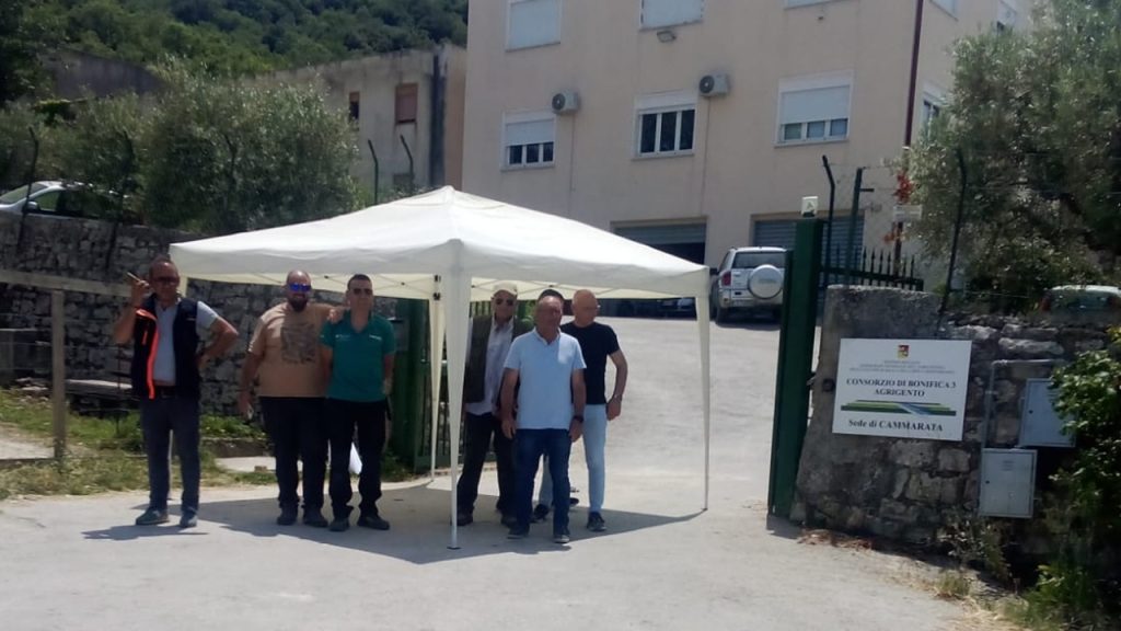 consorzio presidio cammarata 2025 home