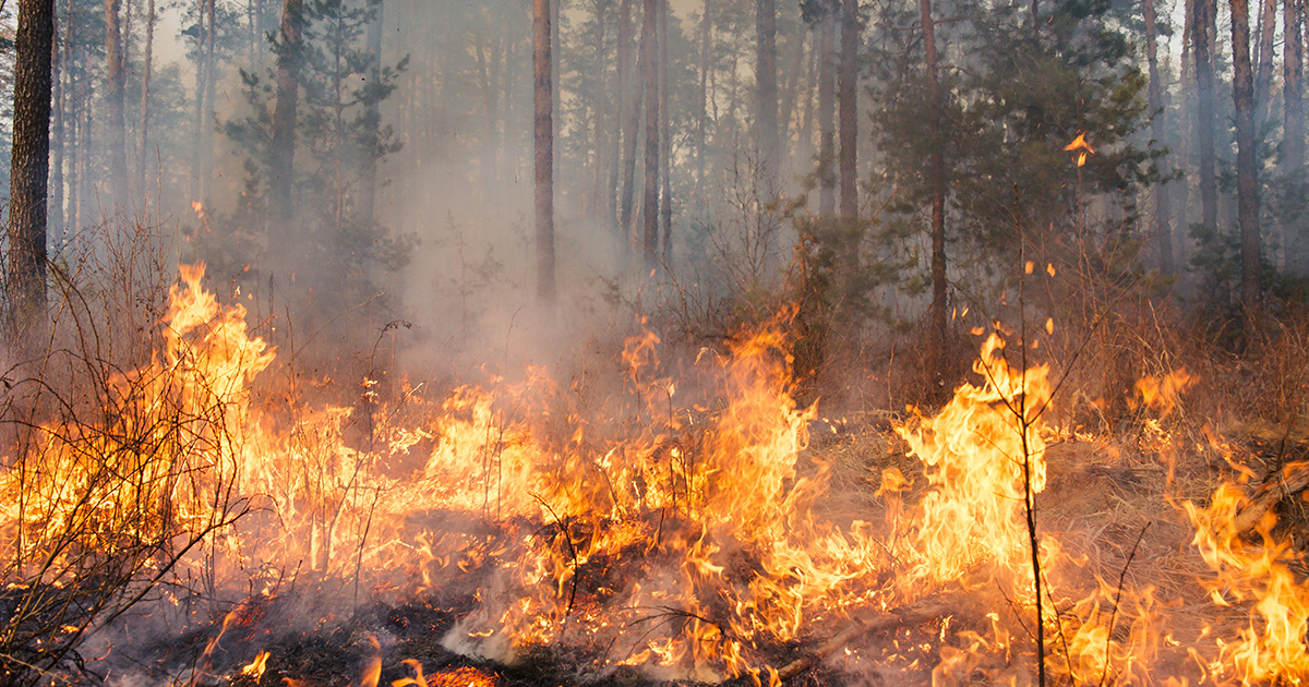 Caldo torrido e scirocco: decine di incendi in tutta la Sicilia