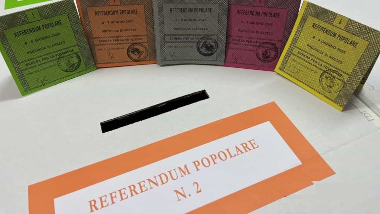 referendum schede