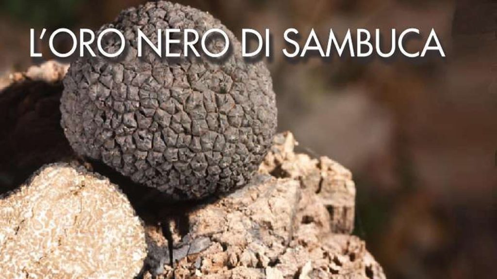 sagra_tartufo_sambuca_2025