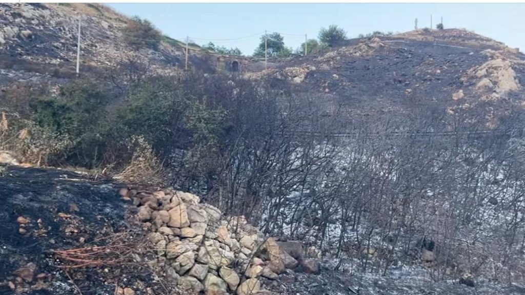 incendio caltabellotta 2025 3