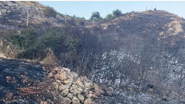 incendio caltabellotta 2025 3