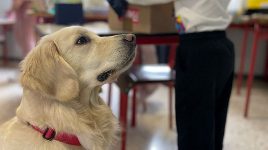 pet-therapy-scuola