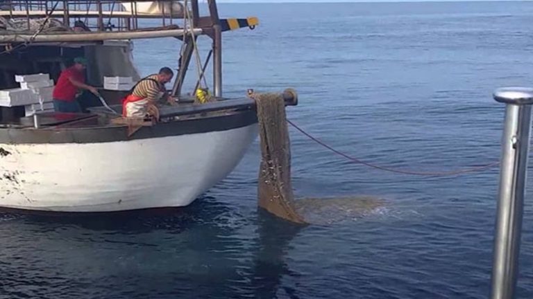 volante a coppia pesca