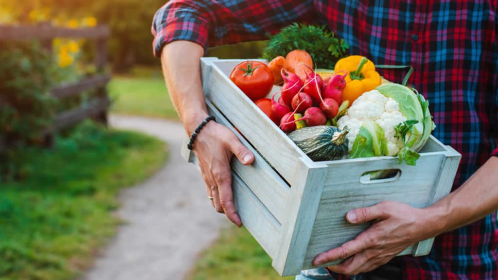 agroalimentare e salute