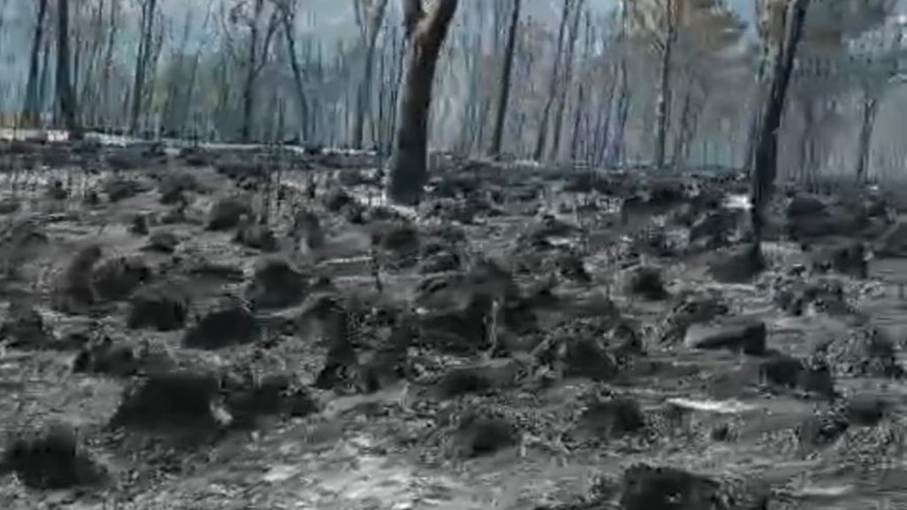 incendio monte sara 2025