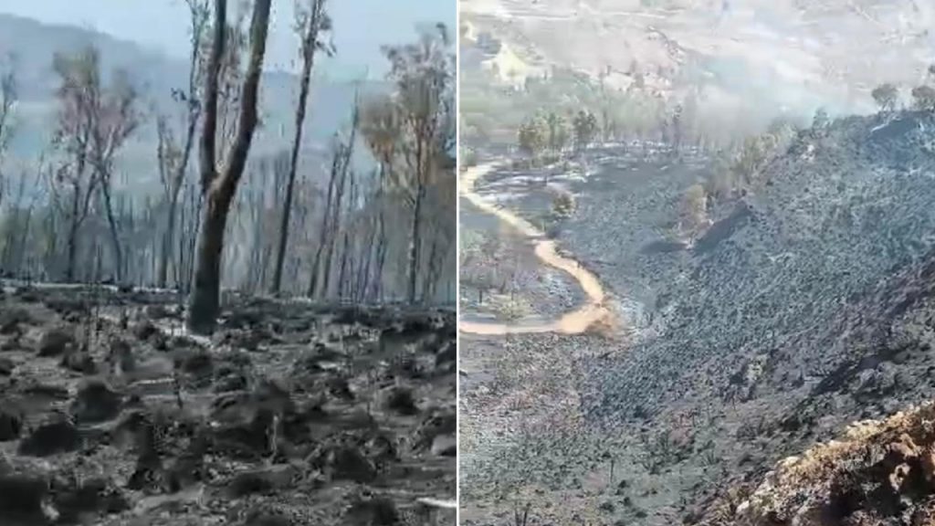 incendio monte sara 2025