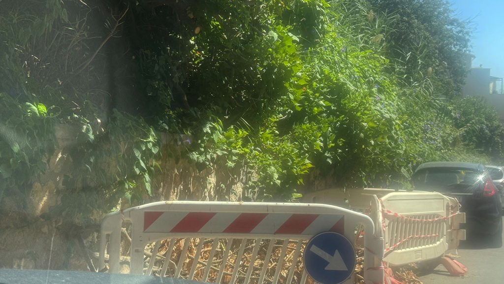 Via Eleonora d'Aragona degrado