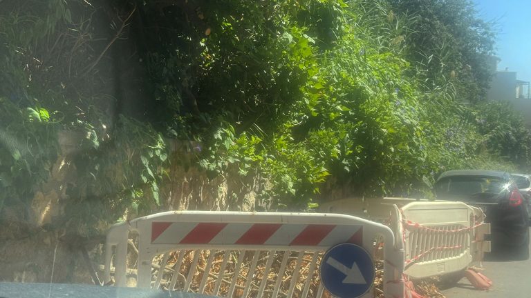 Via Eleonora d'Aragona degrado