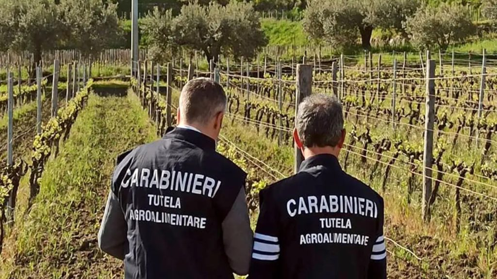 carabinieri vigneto