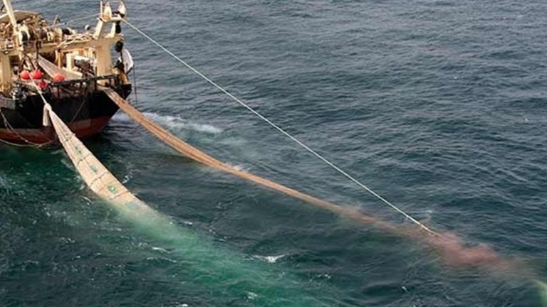 pesca-illegale