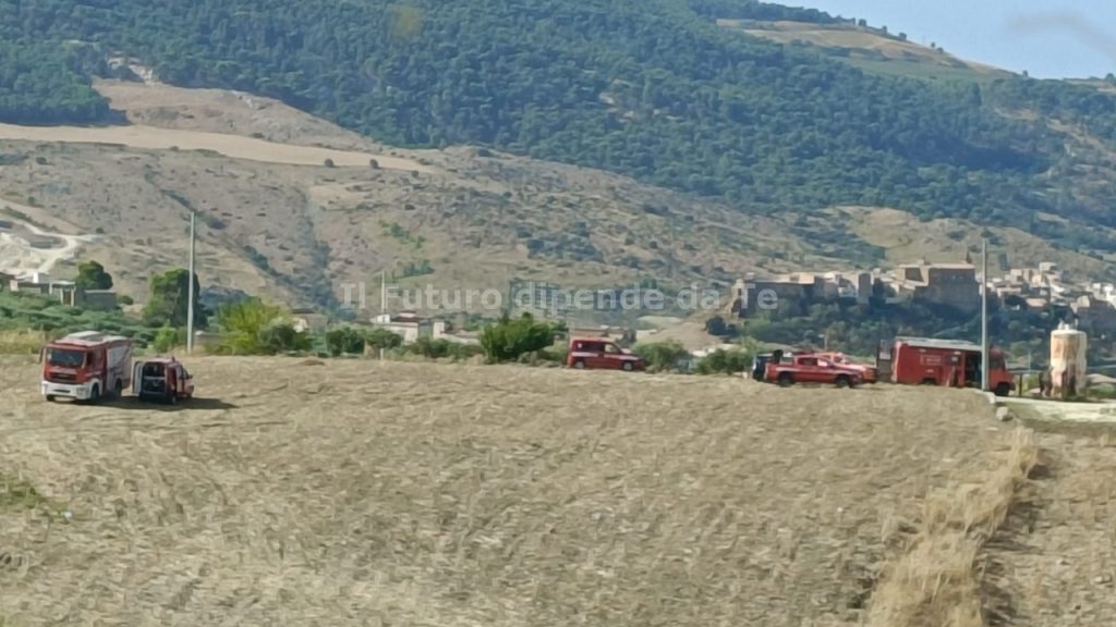 richerche pastore 2025