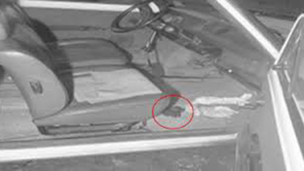 Guanto killer uccisionew Mattarella