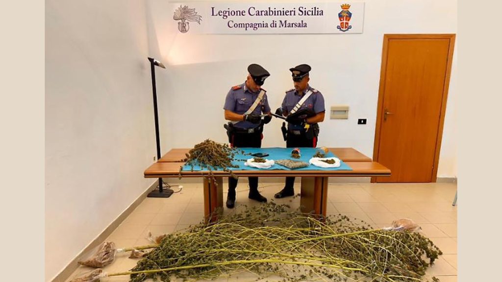 marsala carabinieri piante mariuana