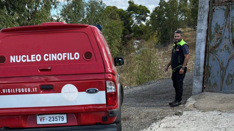 nUCLEO cINOFILO