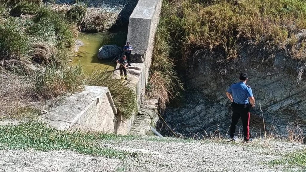 ricerche marianna bello 10-10-25