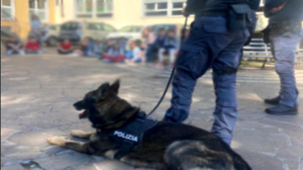 polizia cani