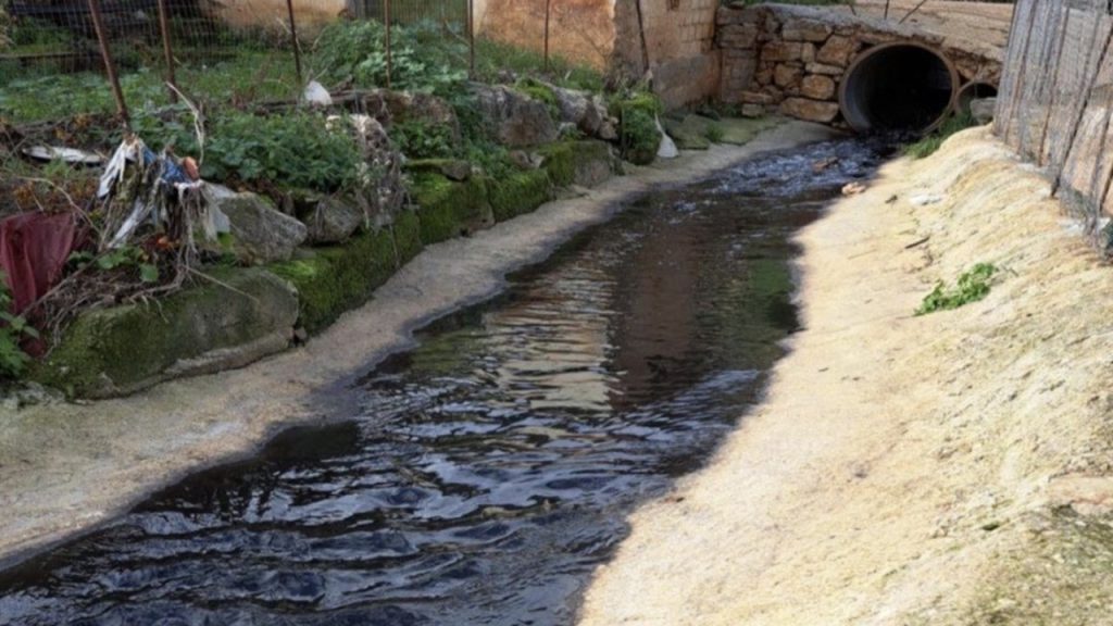 controlli oleifici 2025