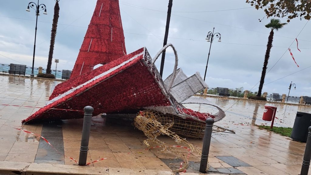 piazza albero danni 2025